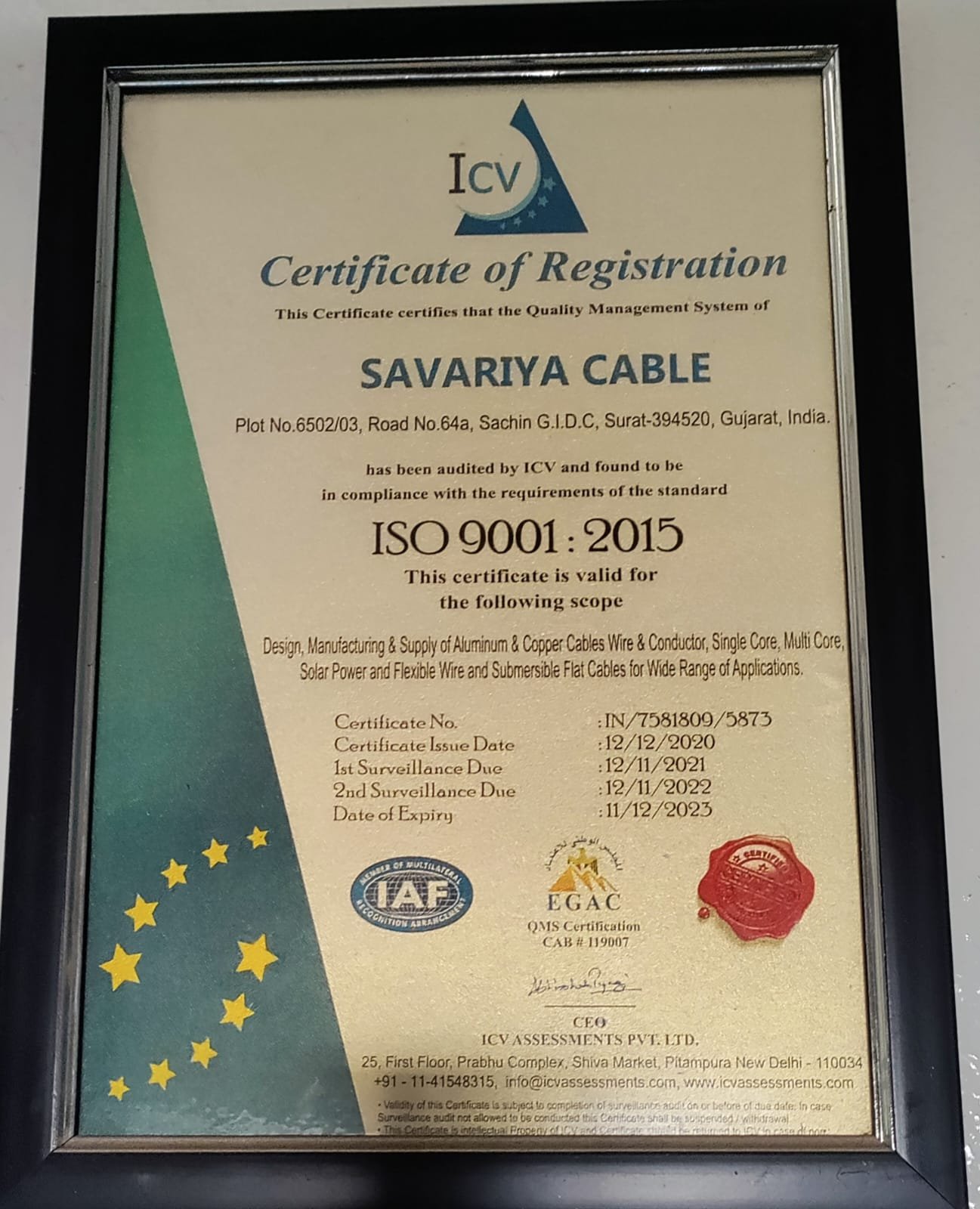 WhatsApp Image 2025-02-24 at 3.48.01 PM (1)